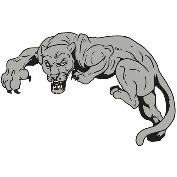 AR10 PANTHER 02 RQC Thumbnail