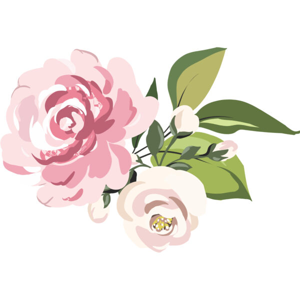 Pink Roses Flower 12 Thumbnail