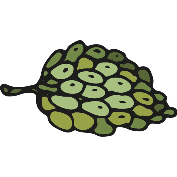 Artichoke 1 Thumbnail