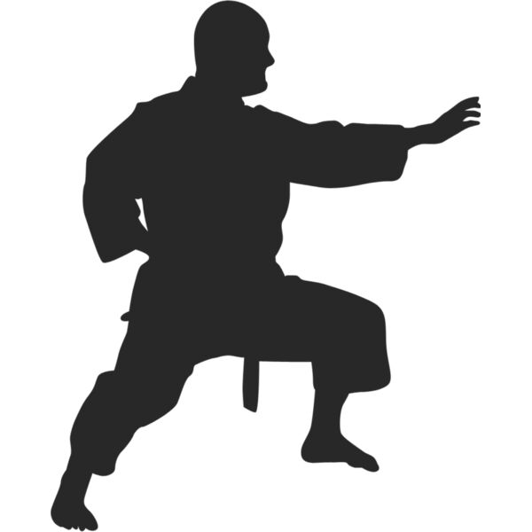 Martial Arts Fighter Silhouette 11 Thumbnail
