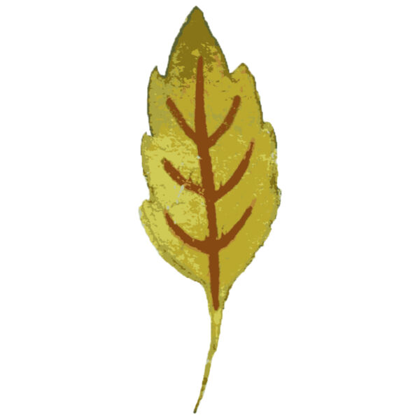 Watercolor Leaf 3 Thumbnail
