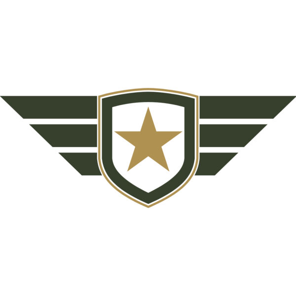Military Star Shield Badge Wings 1 Thumbnail